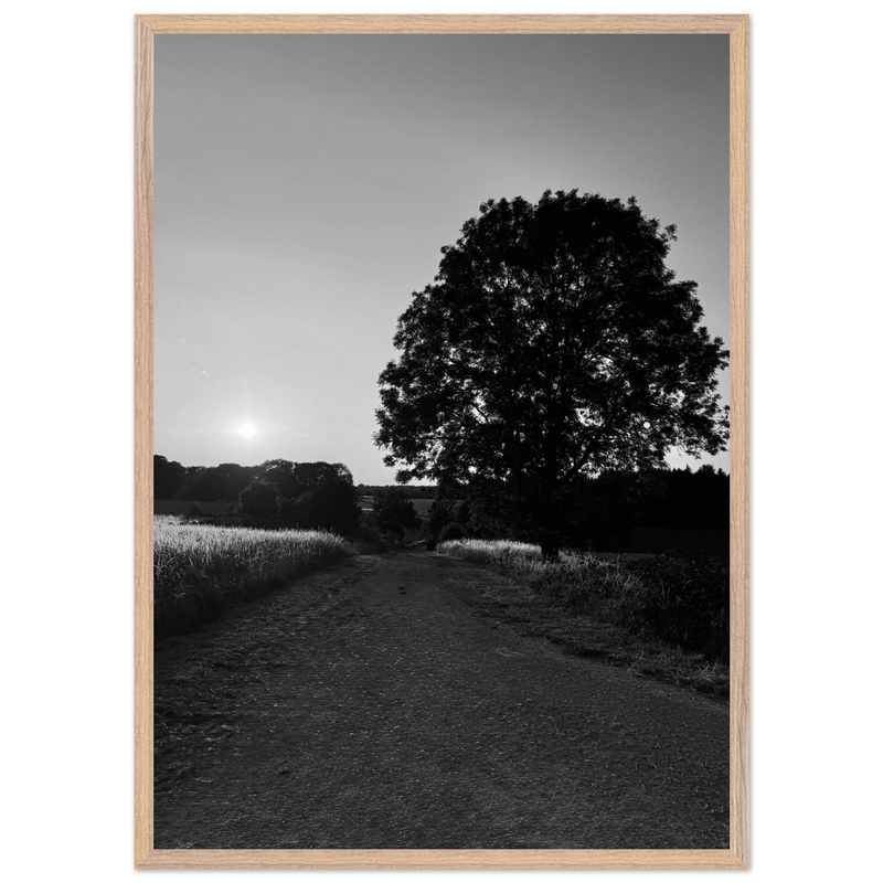 2ebdadf2-13ed-4367-8a17-c0b4b8785b35