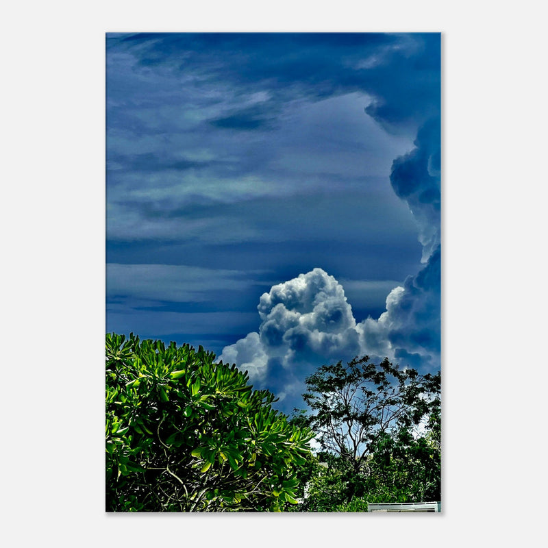 8e62fc57-3dbf-4618-b177-8018c1c0f2fa