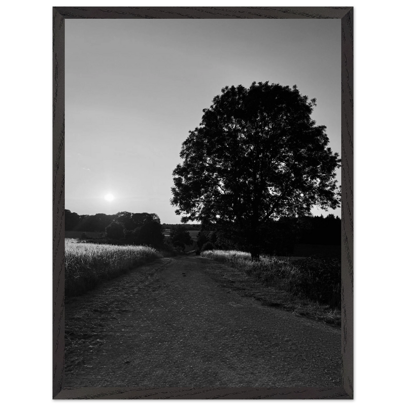 c54f4f59-3ad7-498a-ab72-f79b0b445362