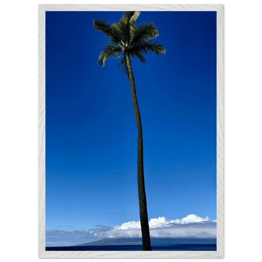 Hawaii Majestic Palm Tree Maui Mounted Framed Poster – Travel Collection Studio Edition Spring '26: Hawaii Edition - CaliCuration