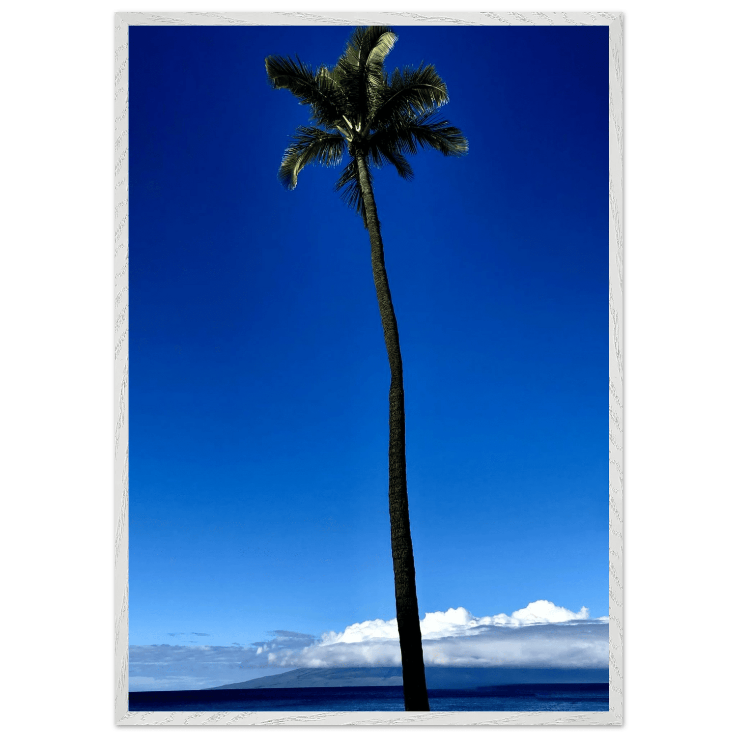 Hawaii Majestic Palm Tree Maui Mounted Framed Poster – Travel Collection Studio Edition Spring '26: Hawaii Edition - CaliCuration