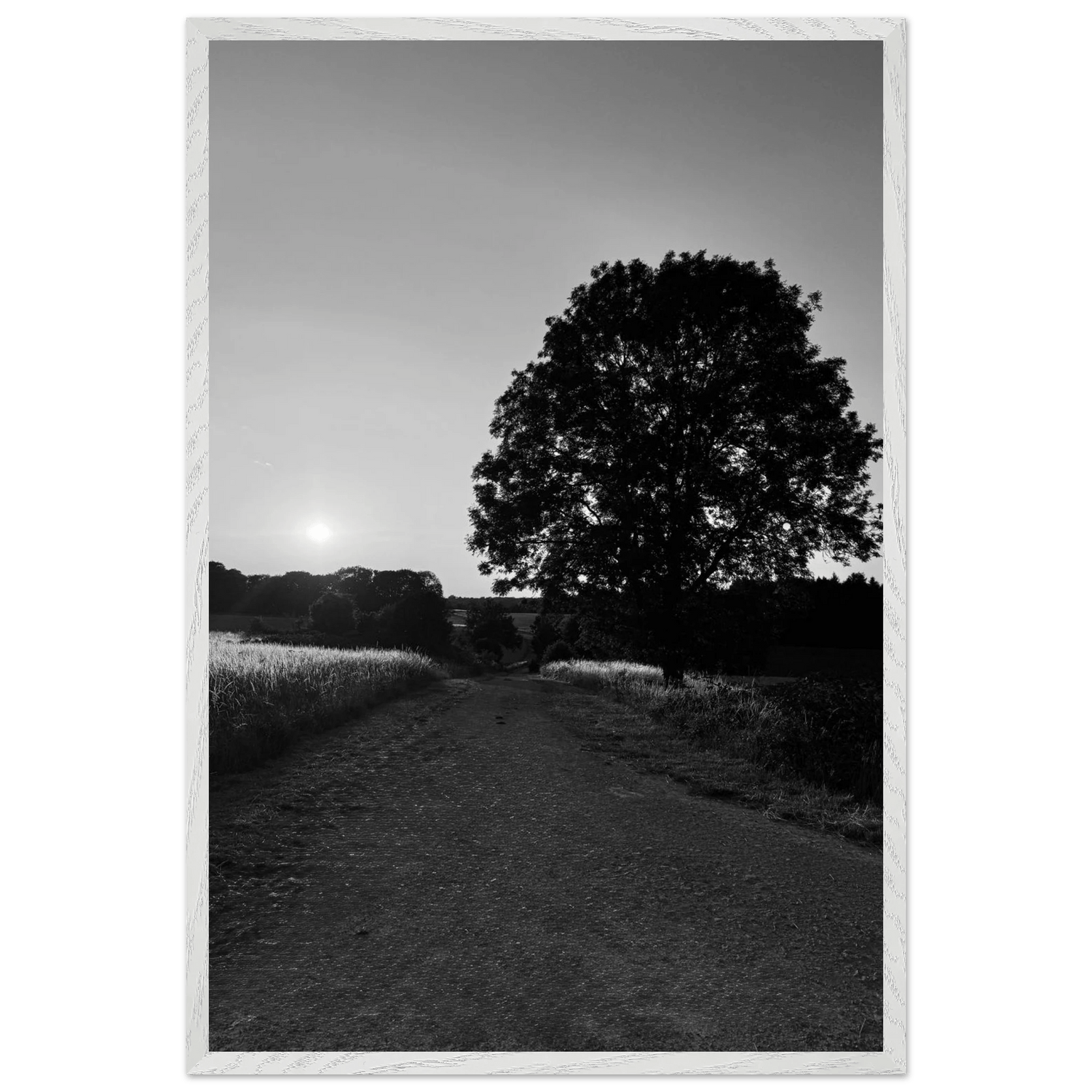Mounted Framed Poster - Summer in the English Countryside Cotswolds: Exclusive Black & White Series - CaliCuration