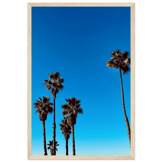 Santa Barbara Palm Tree Magic - Premium Semi - Glossy Paper: Wooden Framed Poster, California Poster Art - Studio Edition: Spring '26 - CaliCuration