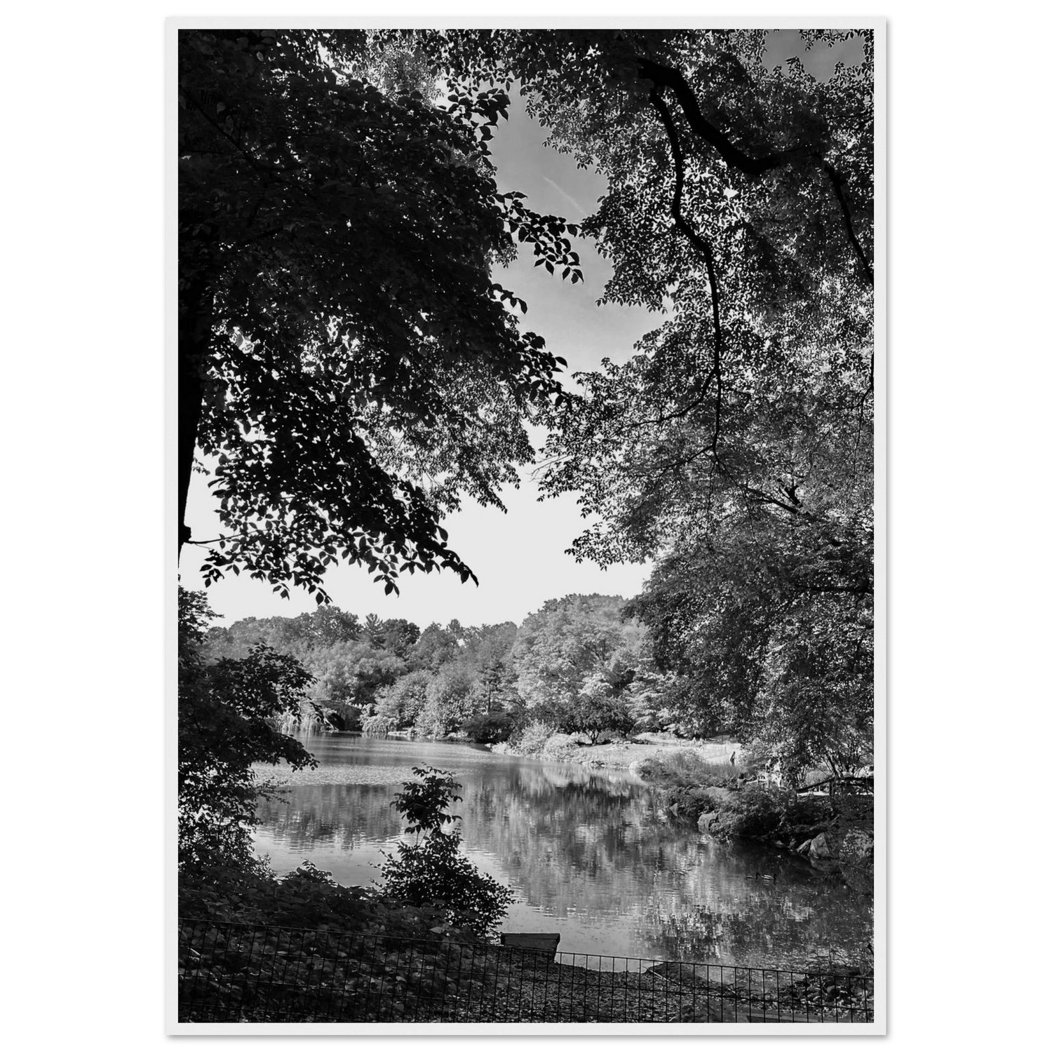 Upstate NY Summer Lake B/W Framed Poster – Endless Warmth for Your Home: Travel Collection - Studio Edition: Holiday 25 - CaliCuration