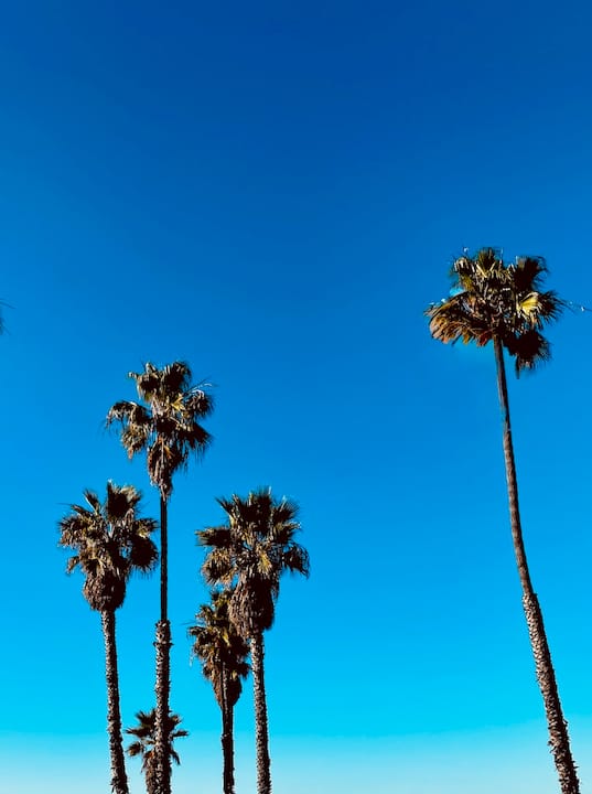 Older man editing California landscape photos at desk