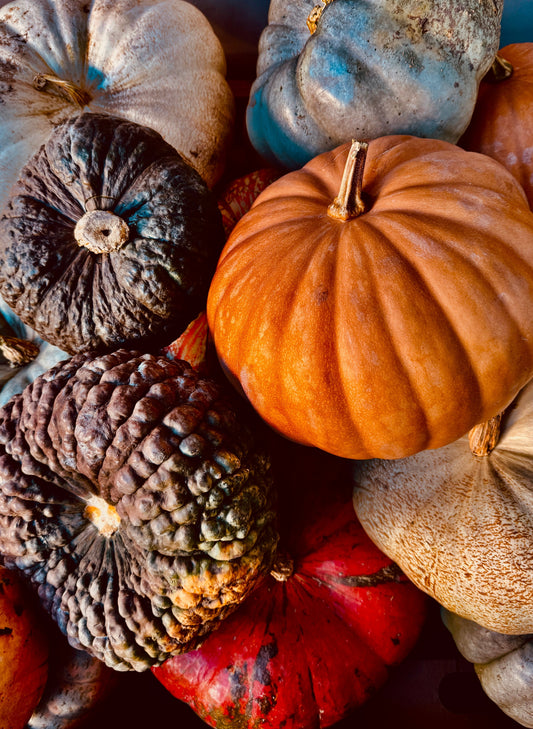 Moonlight, Not Monsters: A Simple Night-Photo Guide for iPhone & Android - CaliCuration