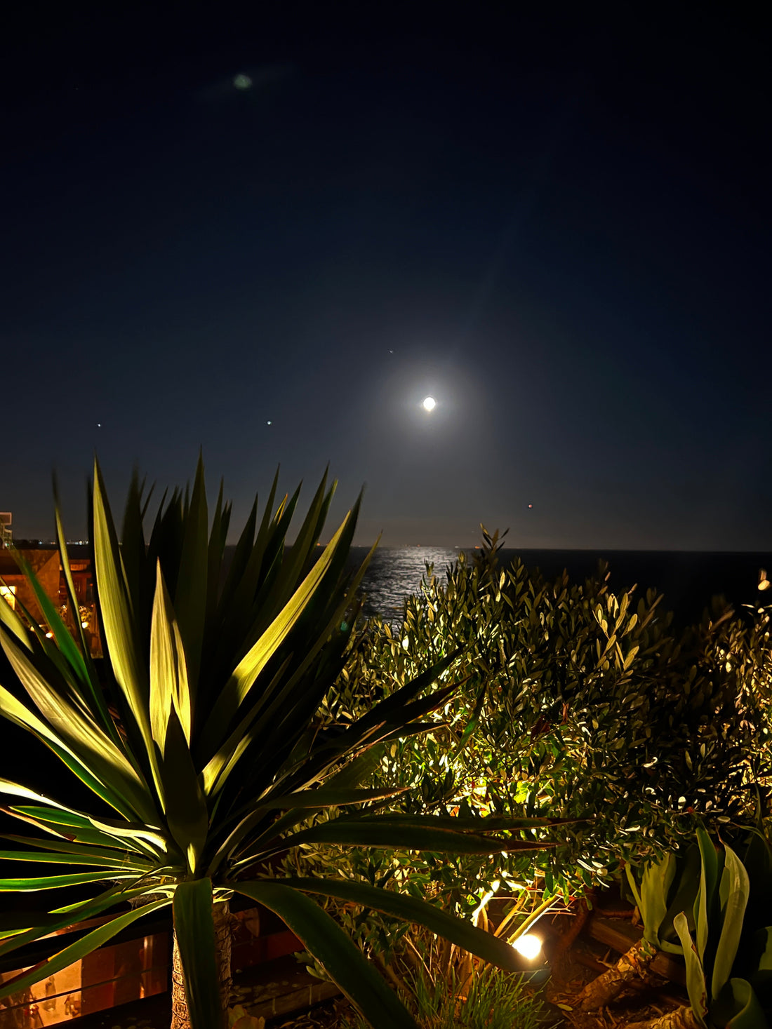 The Art of Gifting: Host/Holiday Gifts and Housewarming with a California Soul - CaliCuration