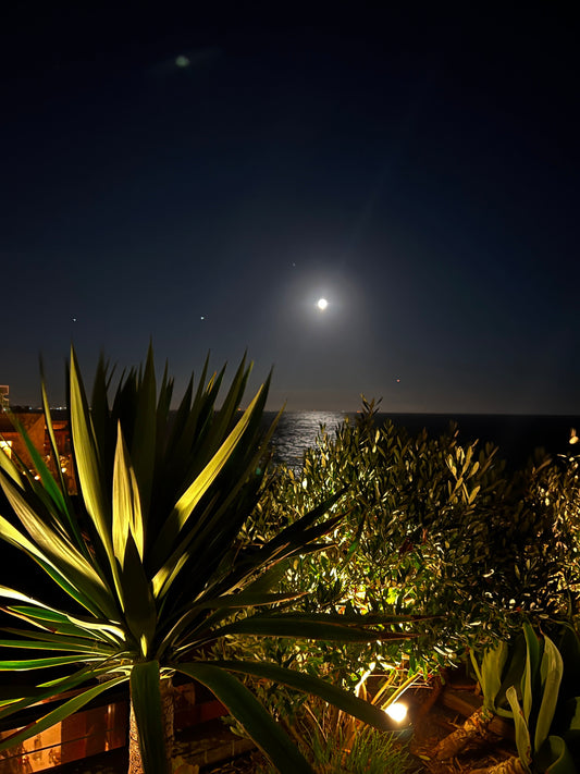 The Art of Gifting: Host/Holiday Gifts and Housewarming with a California Soul - CaliCuration