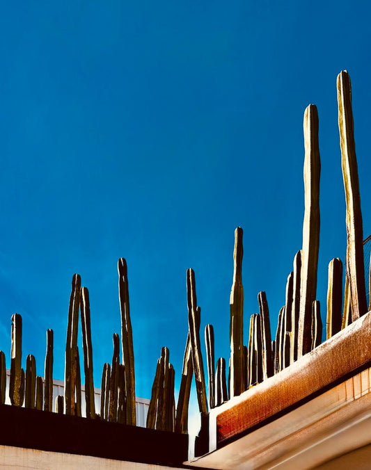 Why Oaxaca Is Mexico’s Most Inspiring Travel Destination — and a Photographer’s Dream - CaliCuration