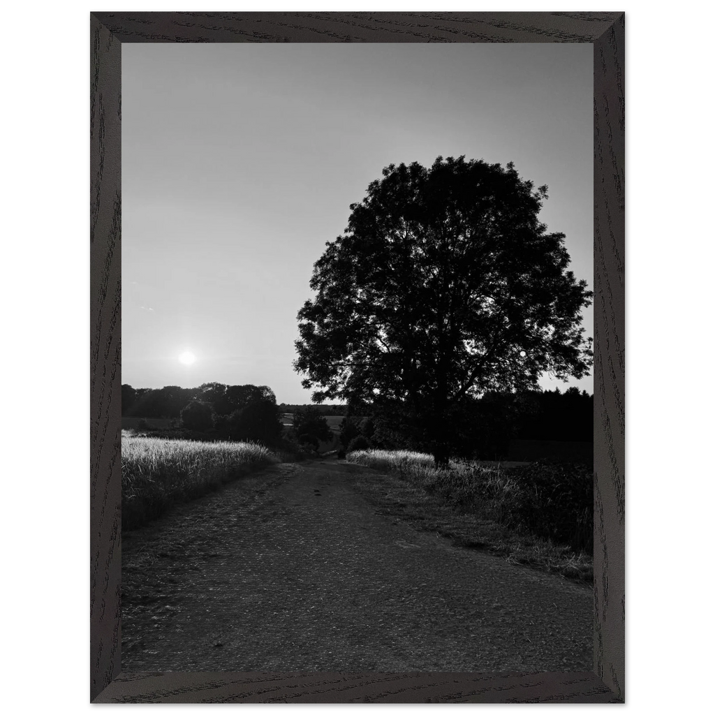 Mounted wooden framed print of a black and white summer scene in the English Cotswolds from the Travel Collection by My Store.