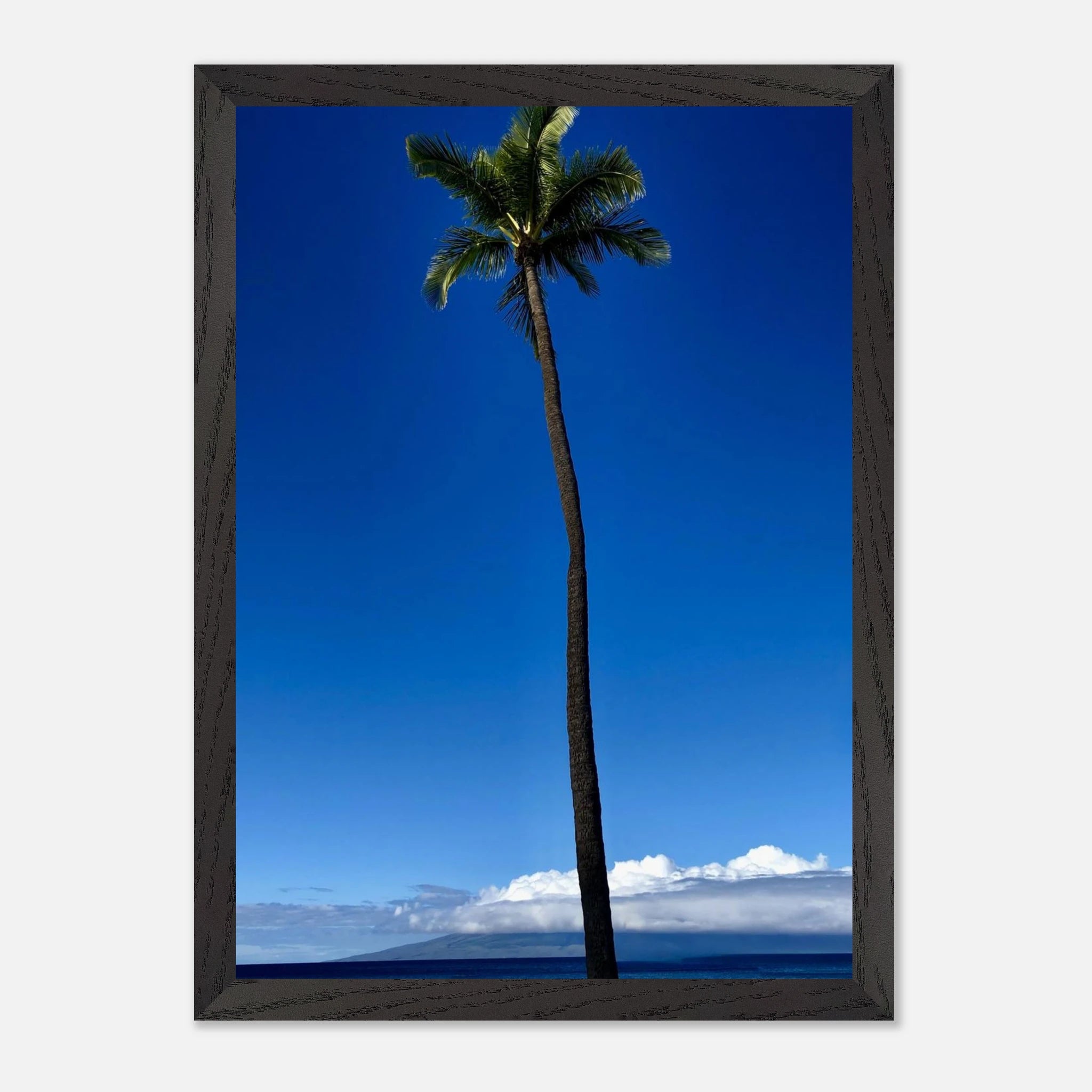 Hawaii Majestic Palm Tree Maui framed poster from CaliCuration's travel collection, featuring a lush palm scene on print material.