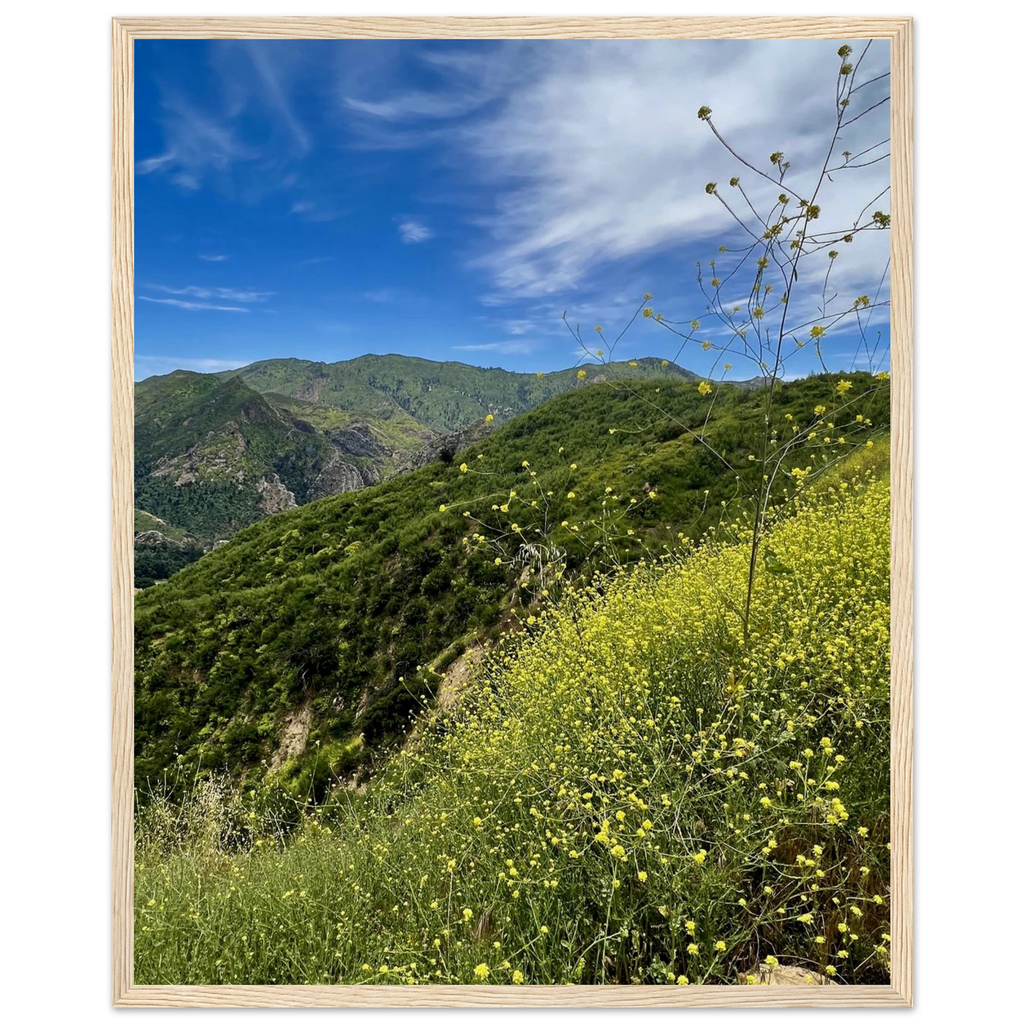 Malibu Canyon Wildflowers wooden framed poster on museum-quality matte paper wall art, featuring California poster art by My Store.
