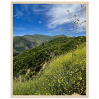 Malibu Canyon Wildflowers wooden framed poster on museum-quality matte paper wall art, featuring California poster art by My Store.