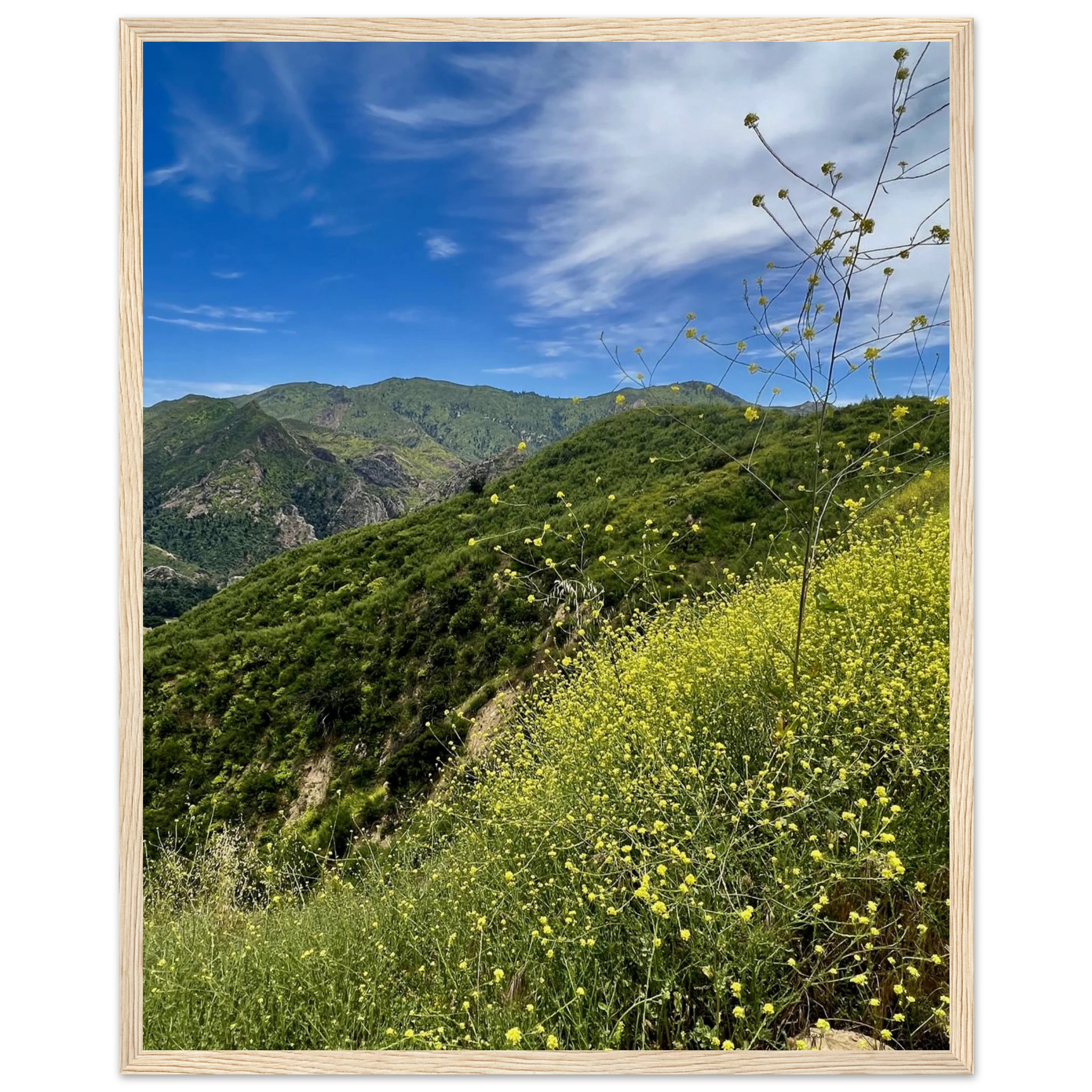 Malibu Canyon Wildflowers wooden framed poster on museum-quality matte paper wall art, featuring California poster art by My Store.