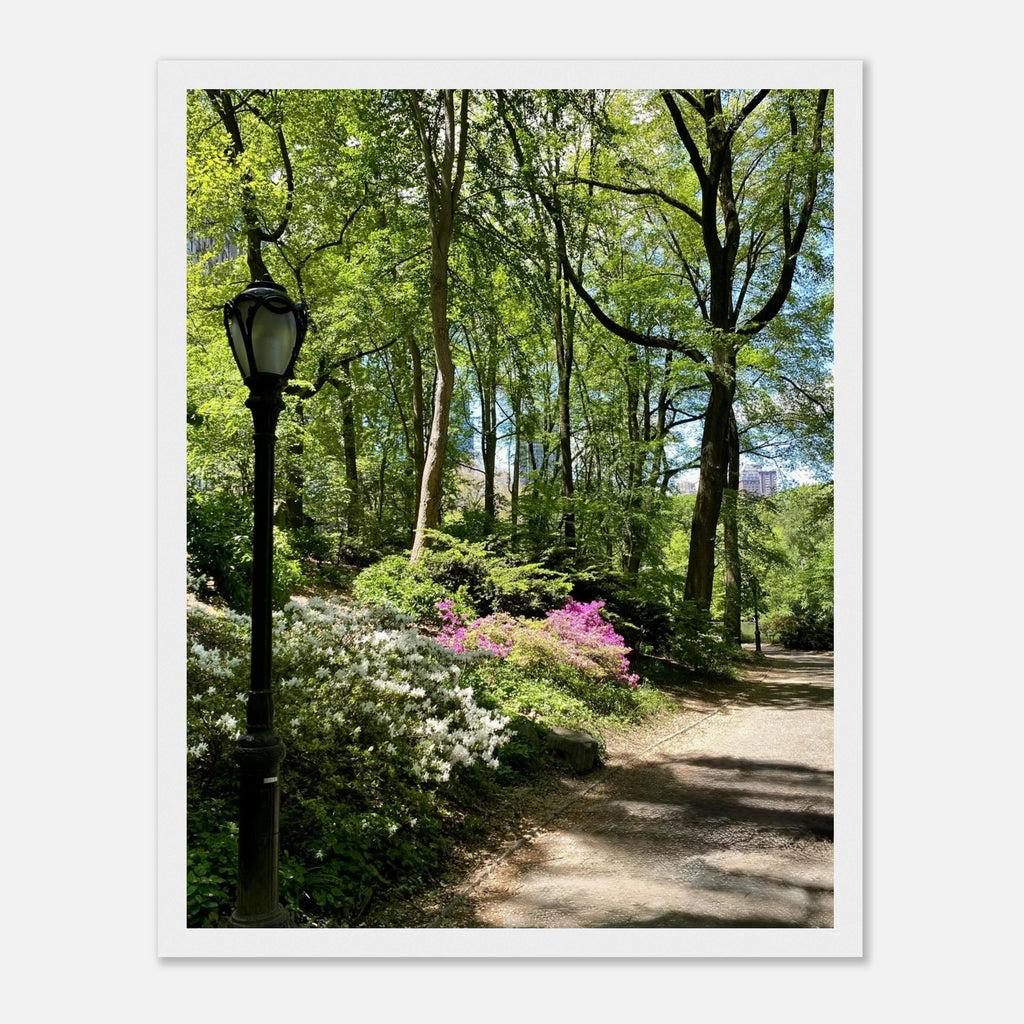 Central Park walkway framed art print on premium matte paper with wooden frame, part of the Travel Collection Studio Edition.