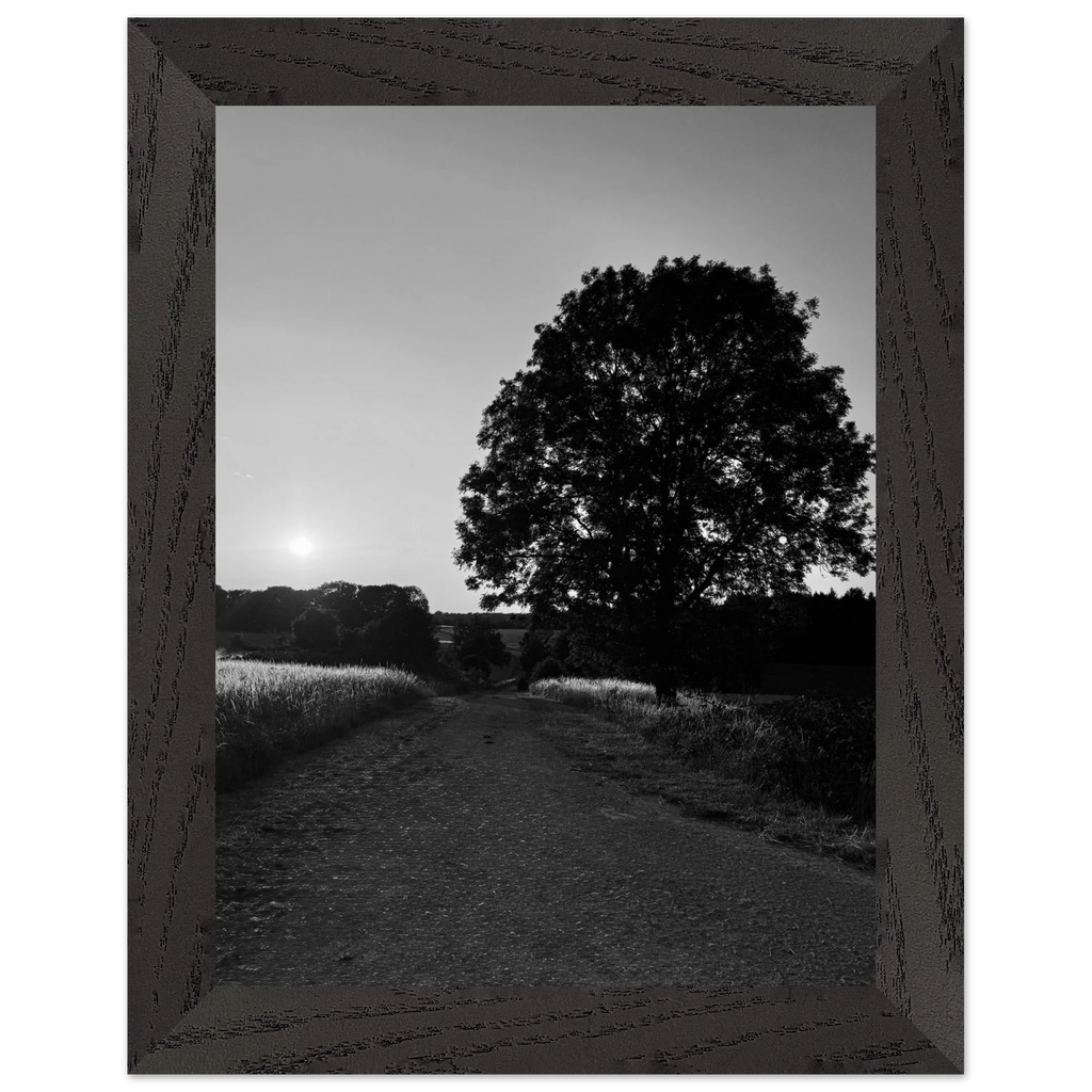 Mounted wooden framed poster featuring a black and white print of summer in the English Cotswolds countryside, part of the travel collection.
