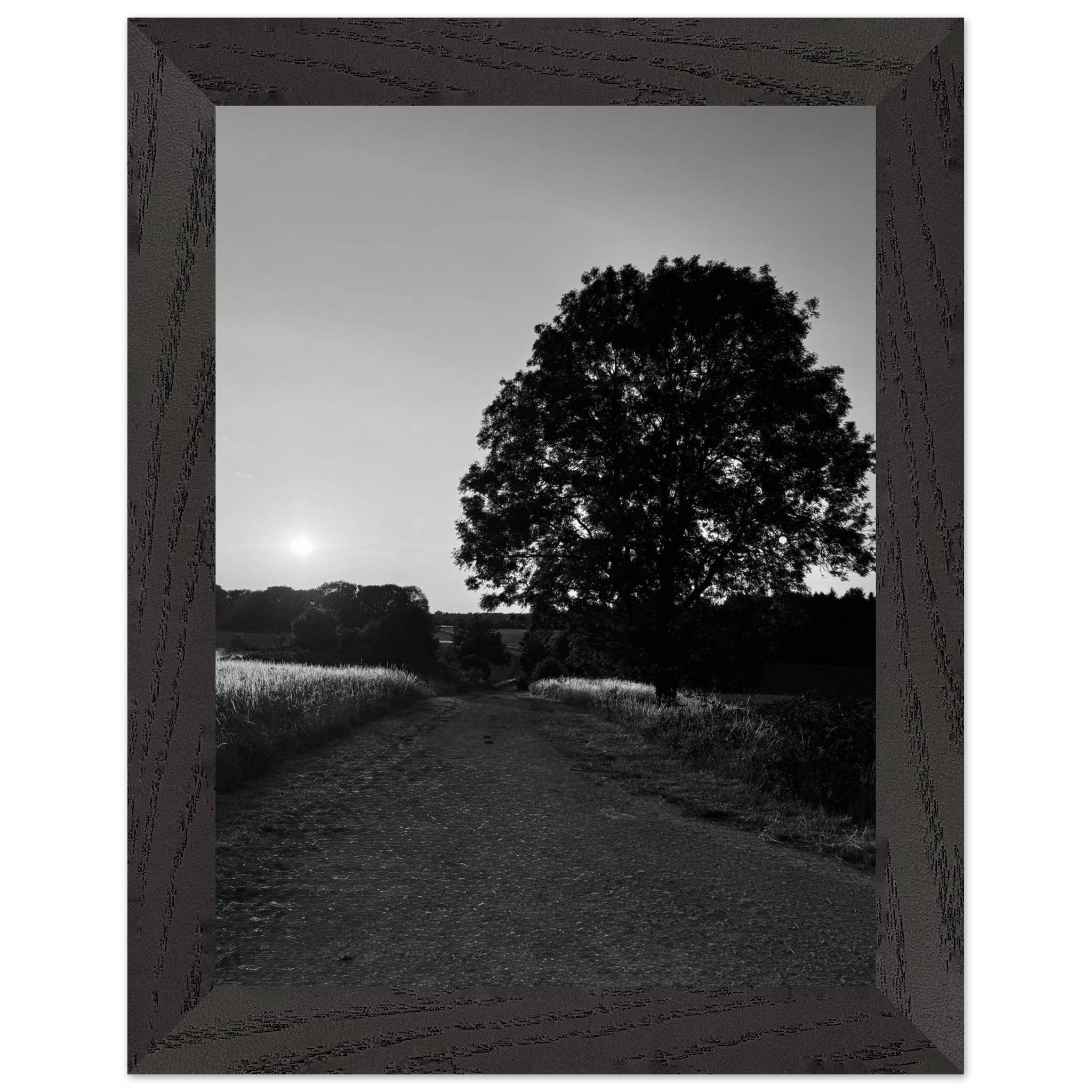 Mounted wooden framed poster featuring a black and white print of summer in the English Cotswolds countryside, part of the travel collection.