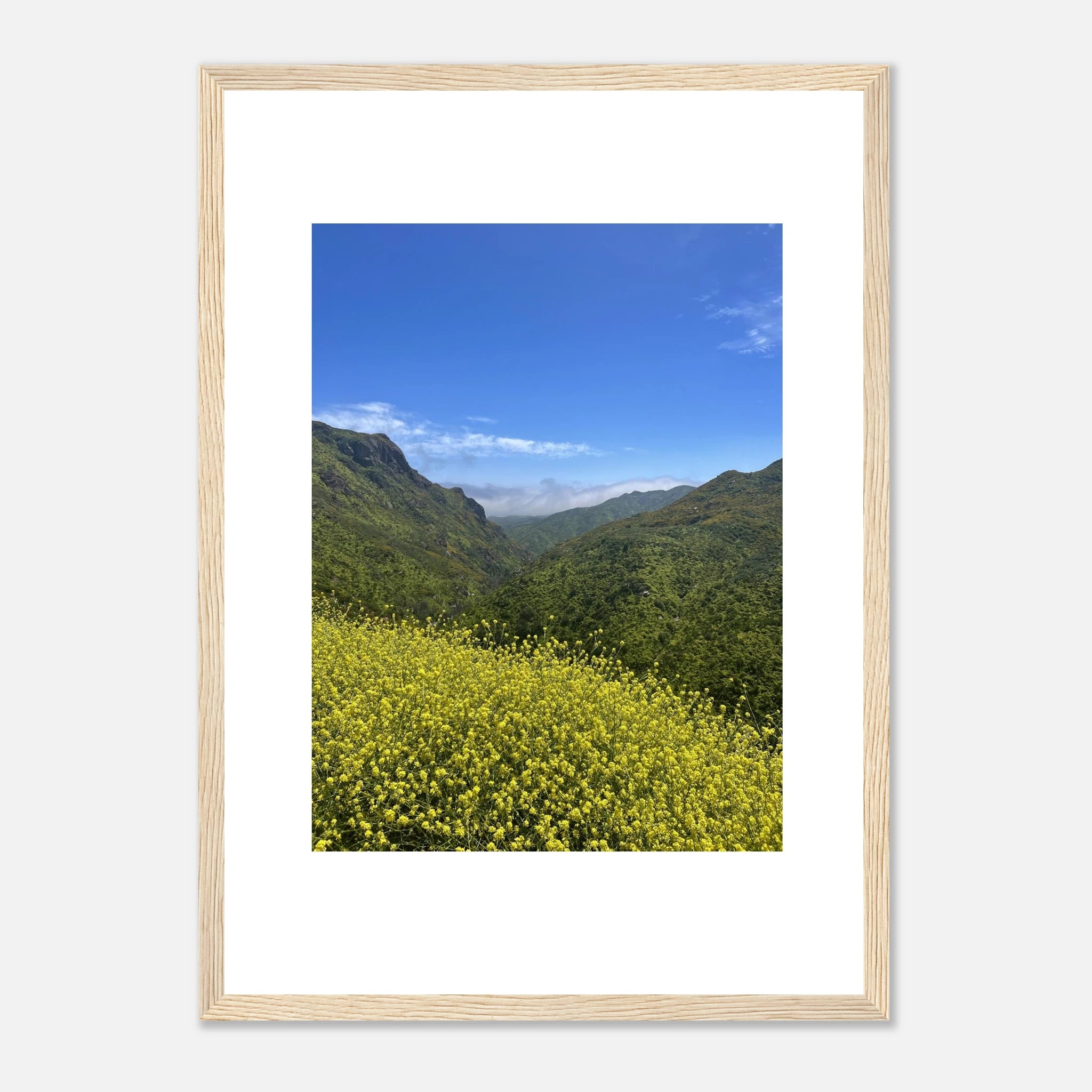 High-quality framed art print of Malibu Canyon in spring bloom with wildflowers, showcasing California landscape photography.