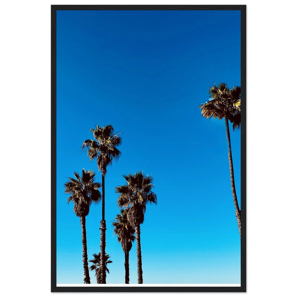 CaliCuration Santa Barbara Palm Tree Magic wooden framed poster, California home decor art, semi-glossy spring 2026 studio edition