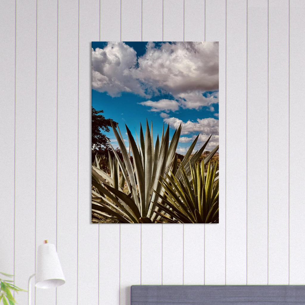 Oaxaca Desert canvas artwork featuring mezcal plantation, part of the travel collection by Studio Edition.