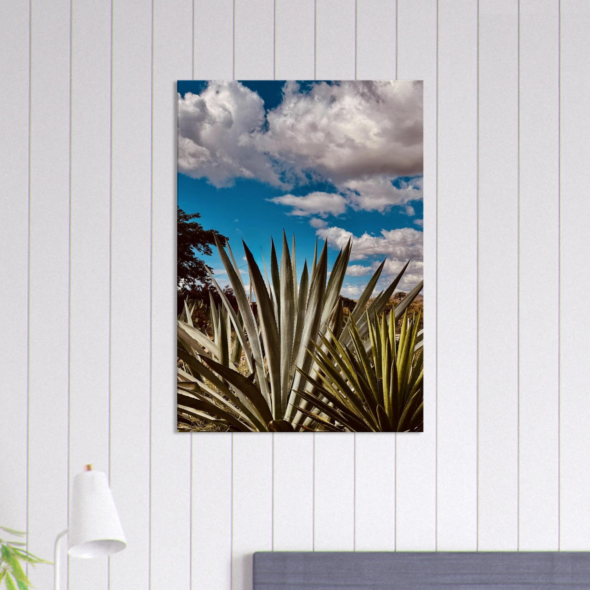 Oaxaca Desert canvas artwork featuring mezcal plantation, part of the travel collection by Studio Edition.