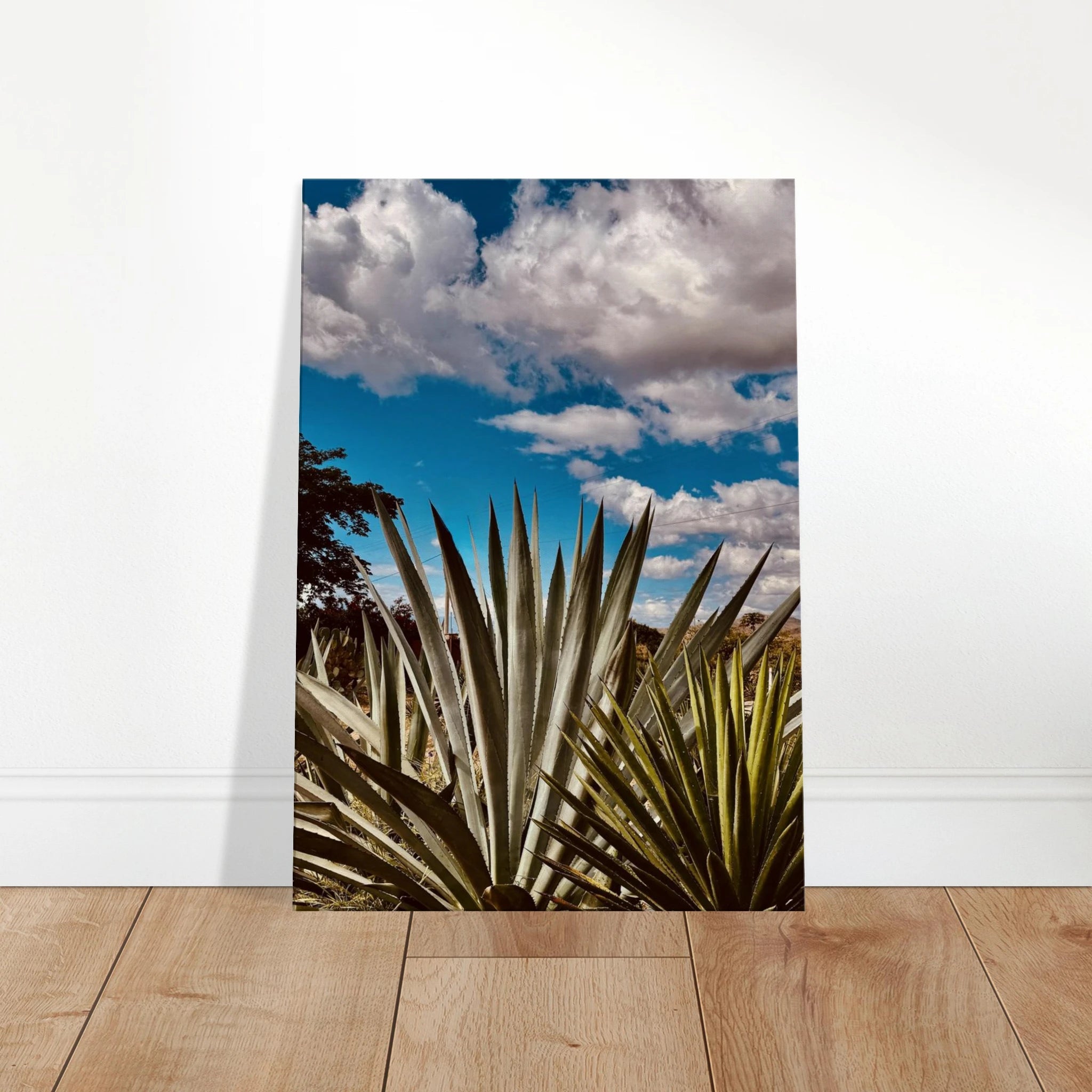 Oaxaca Desert canvas artwork featuring mezcal plantation, part of the Studio Edition travel collection.