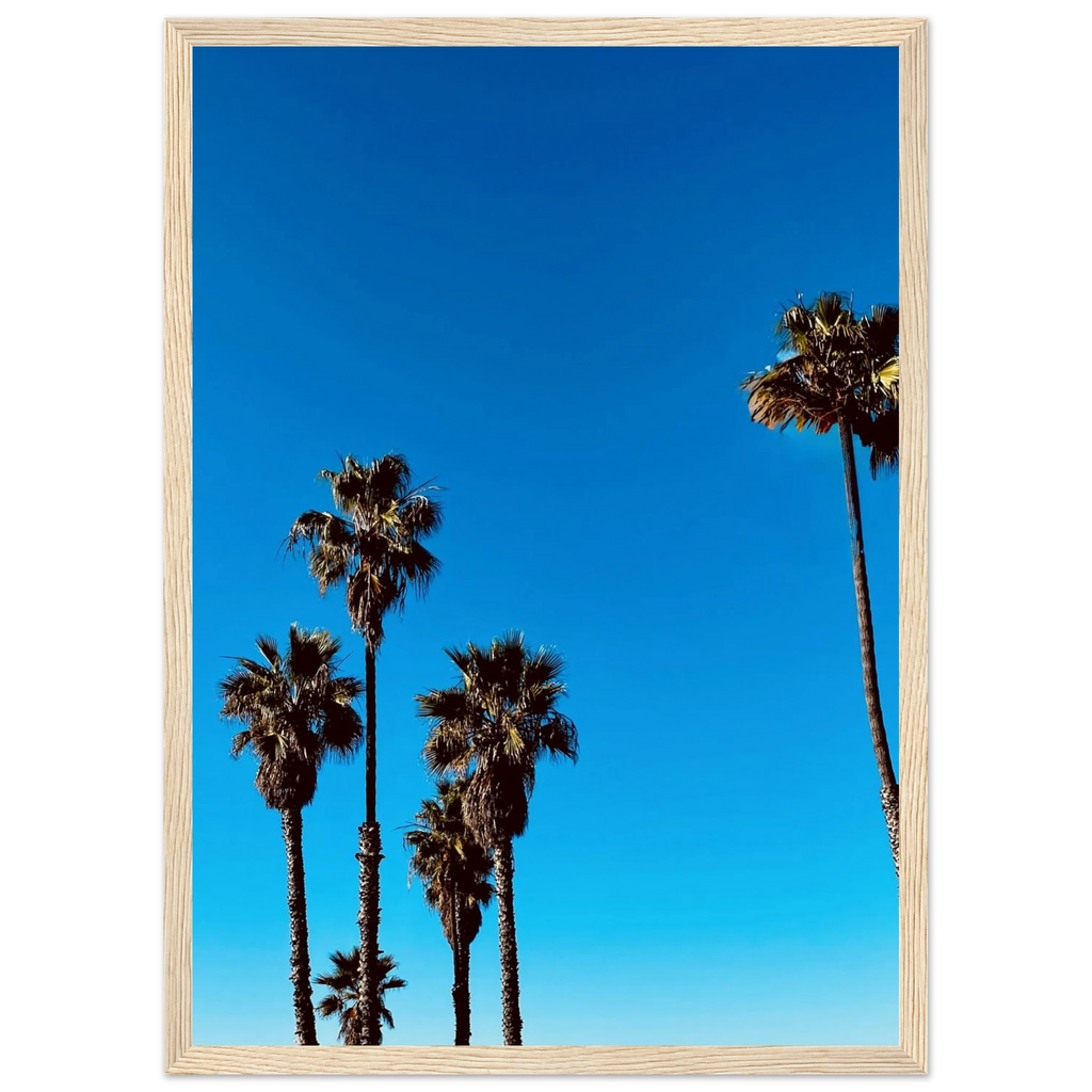 CaliCuration Santa Barbara Palm Tree Magic home decor poster, wooden frame, semi-glossy paper, California art studio edition spring 2026