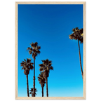 CaliCuration Santa Barbara Palm Tree Magic home decor poster, wooden frame, semi-glossy paper, California art studio edition spring 2026