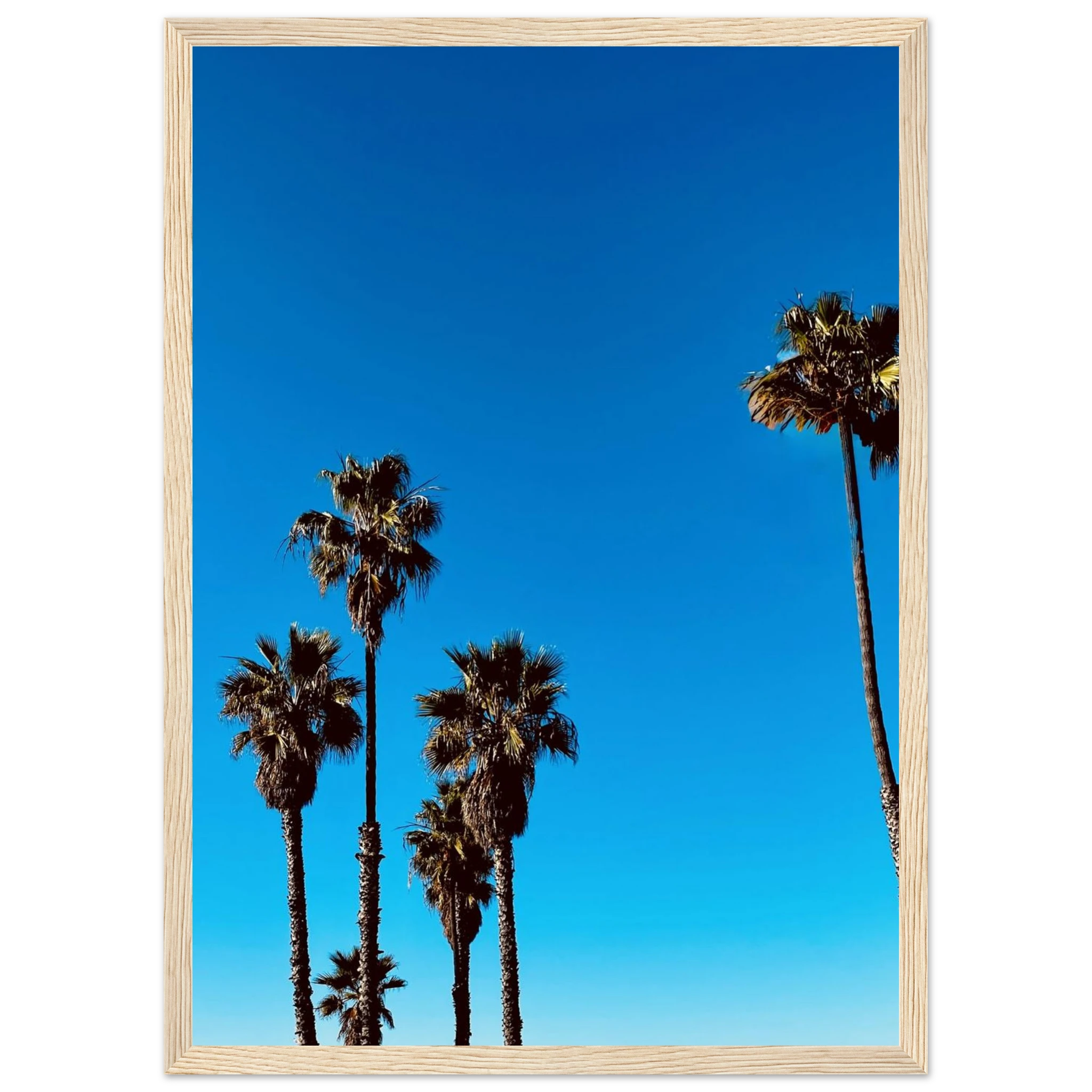 CaliCuration Santa Barbara Palm Tree Magic home decor poster, wooden frame, semi-glossy paper, California art studio edition spring 2026
