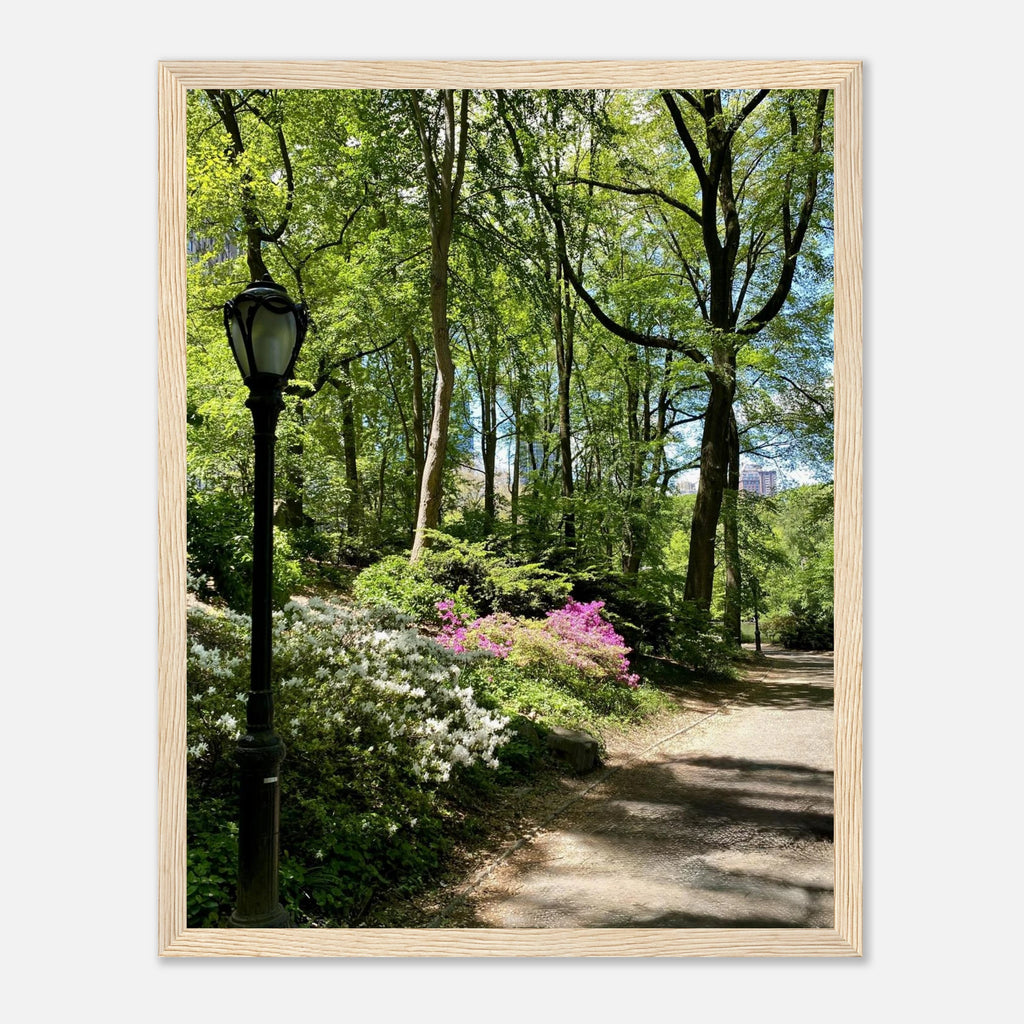 Framed art print of Central Park walkway scene on premium matte paper, wooden frame, from the Serene Stroll travel collection.
