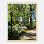 Framed art print of Central Park walkway scene on premium matte paper, wooden frame, from the Serene Stroll travel collection.