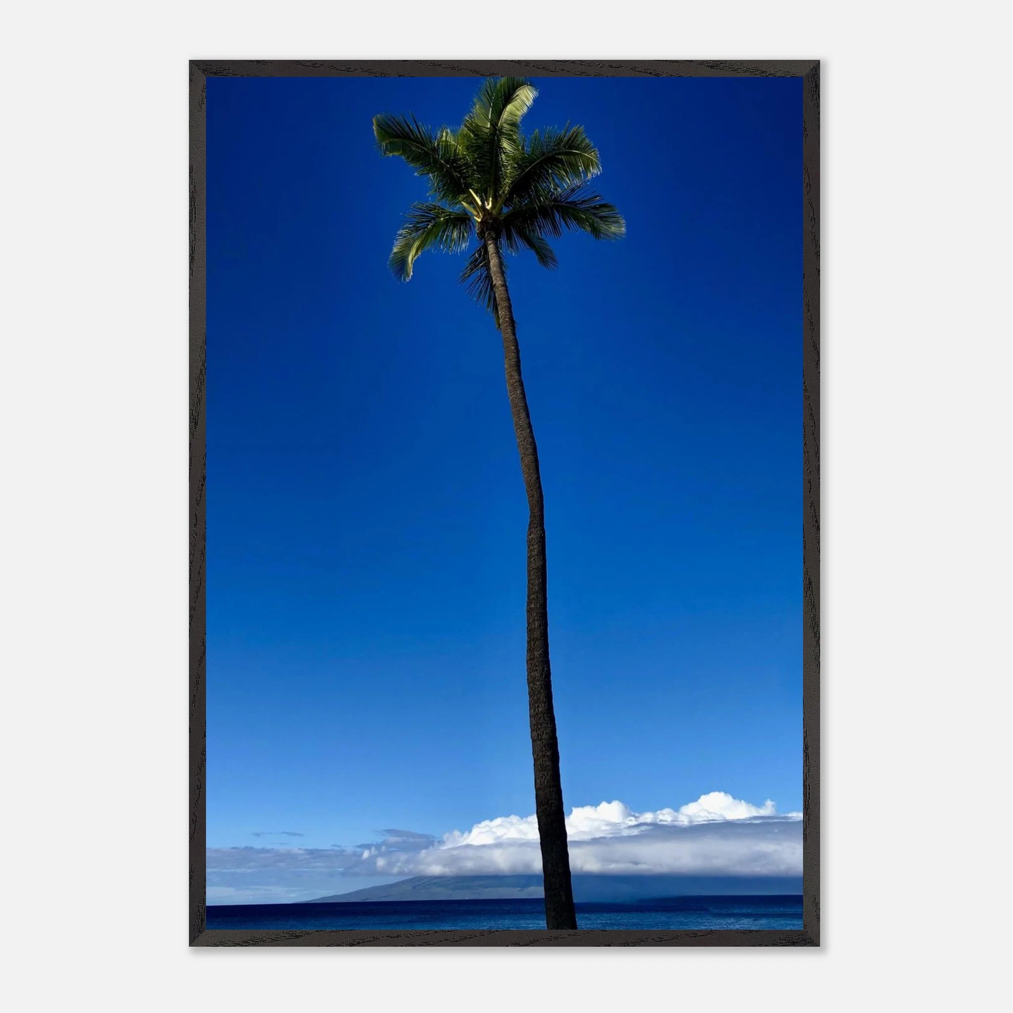 Framed Maui print featuring a majestic palm tree from the Hawaii Majestic Palm Tree travel collection by CaliCuration.