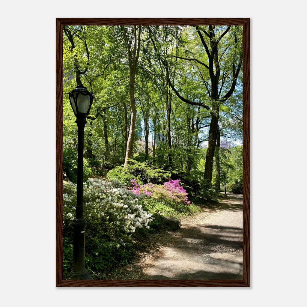 Central Park walkway framed art print on premium matte paper with wooden frame, part of the Studio Edition travel collection.