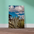 Oaxaca Desert canvas artwork featuring a mezcal plantation from the Travel Collection by My Store.