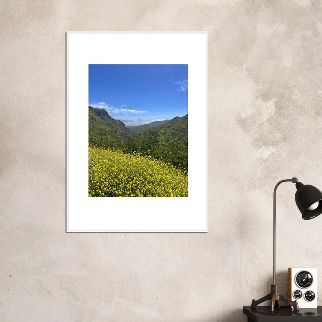 High-quality framed art print of Malibu Canyon in spring bloom wildflowers, showcasing California landscape and vibrant colors.