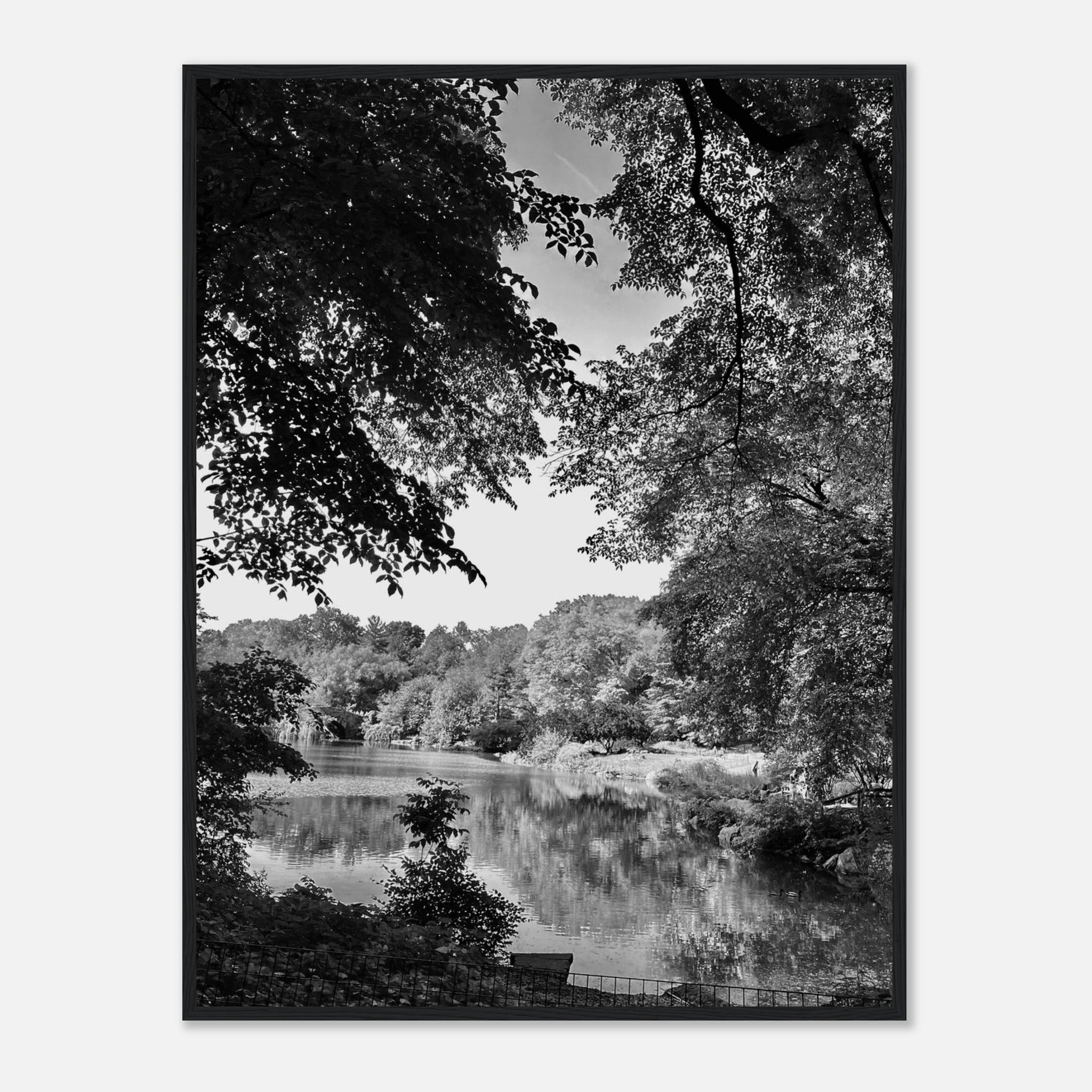 Black and white framed print of a summer lake scene from Upstate NY, part of the Studio Edition Travel Collection.