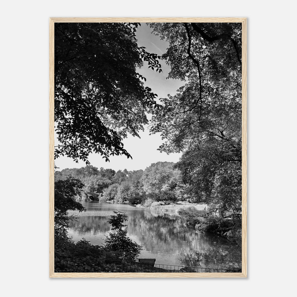Framed black and white print of a summer lake scene in Upstate NY, part of the Studio Edition Travel Collection by My Store.