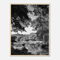 Framed black and white print of a summer lake scene in Upstate NY, part of the Studio Edition Travel Collection by My Store.