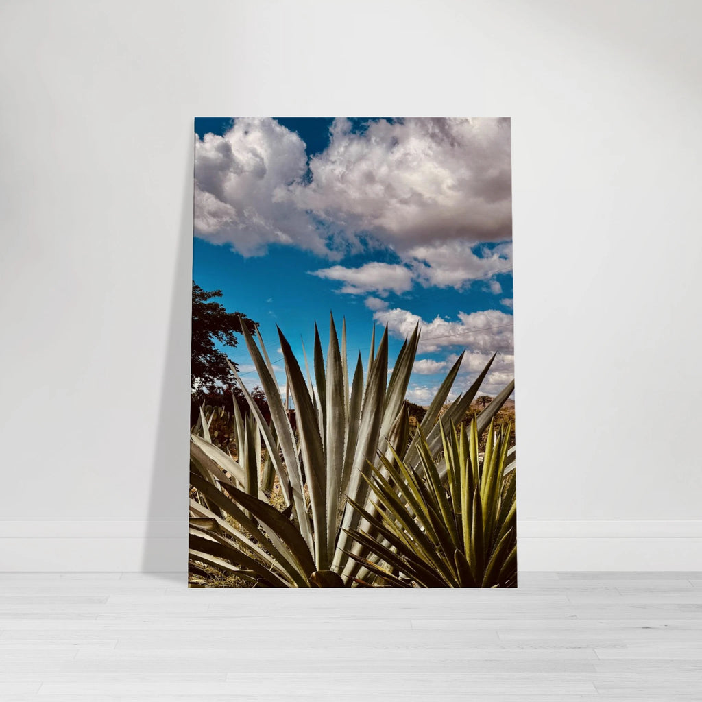 Oaxaca Desert canvas artwork featuring mezcal plantation from My Store's Spring' 26 travel collection.