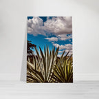 Oaxaca Desert canvas artwork featuring mezcal plantation from My Store's Spring' 26 travel collection.