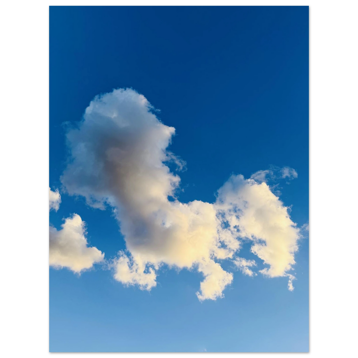 17004e61-6f2f-4f01-9738-bca2ec90a0dc