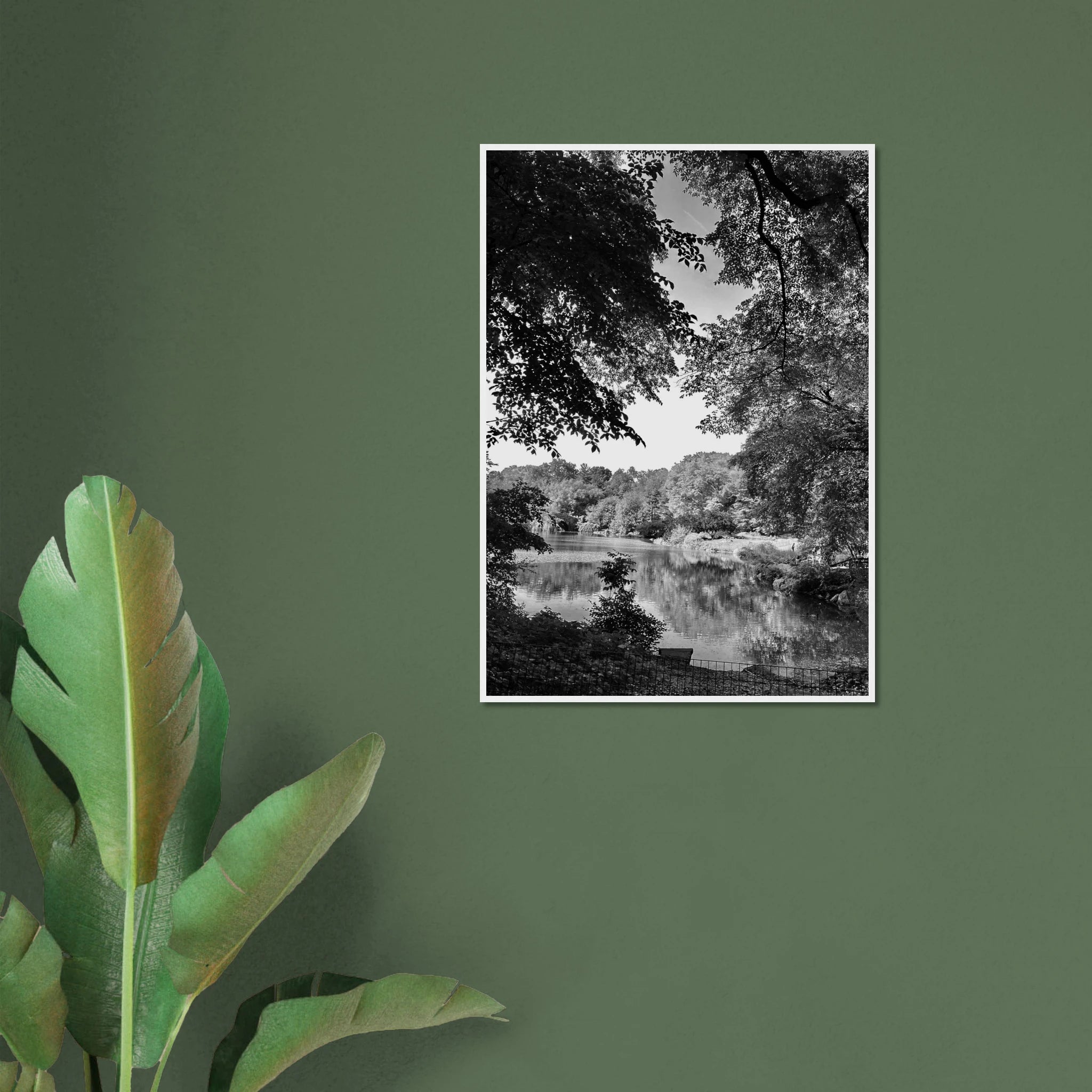 Black and white framed print of a summer lake scene from Upstate NY, part of the My Store Travel Collection Studio Edition.