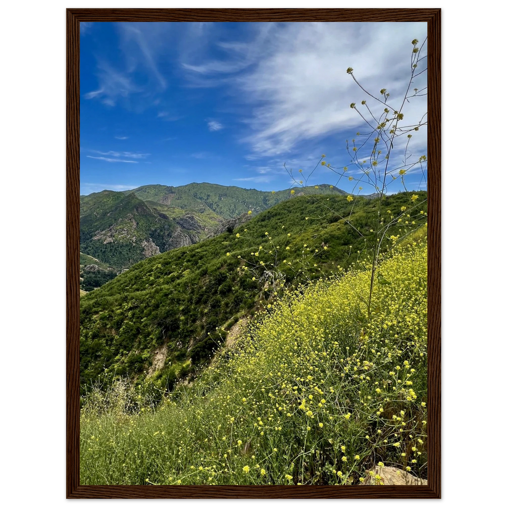 Wooden framed Malibu Canyon Wildflowers poster on museum-quality matte paper wall art, featuring California wildflower scene.