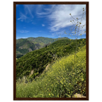 Wooden framed Malibu Canyon Wildflowers poster on museum-quality matte paper wall art, featuring California wildflower scene.