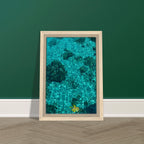 Vibrant tropical summer coastal art print on canvas, framed, featuring natural travel-inspired decor from the Studio Edition collection.