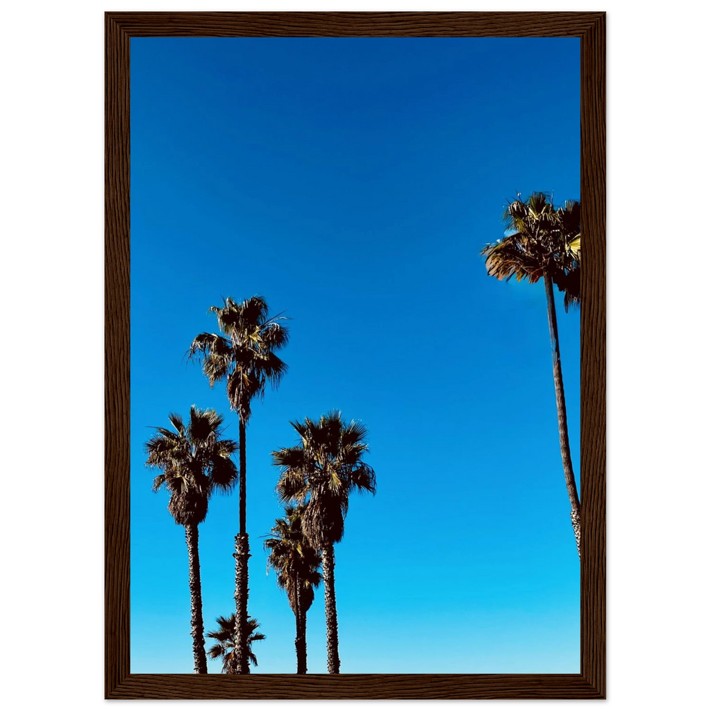 Wooden framed Santa Barbara Palm Tree Magic poster by CaliCuration, California home decor art on semi-glossy paper.