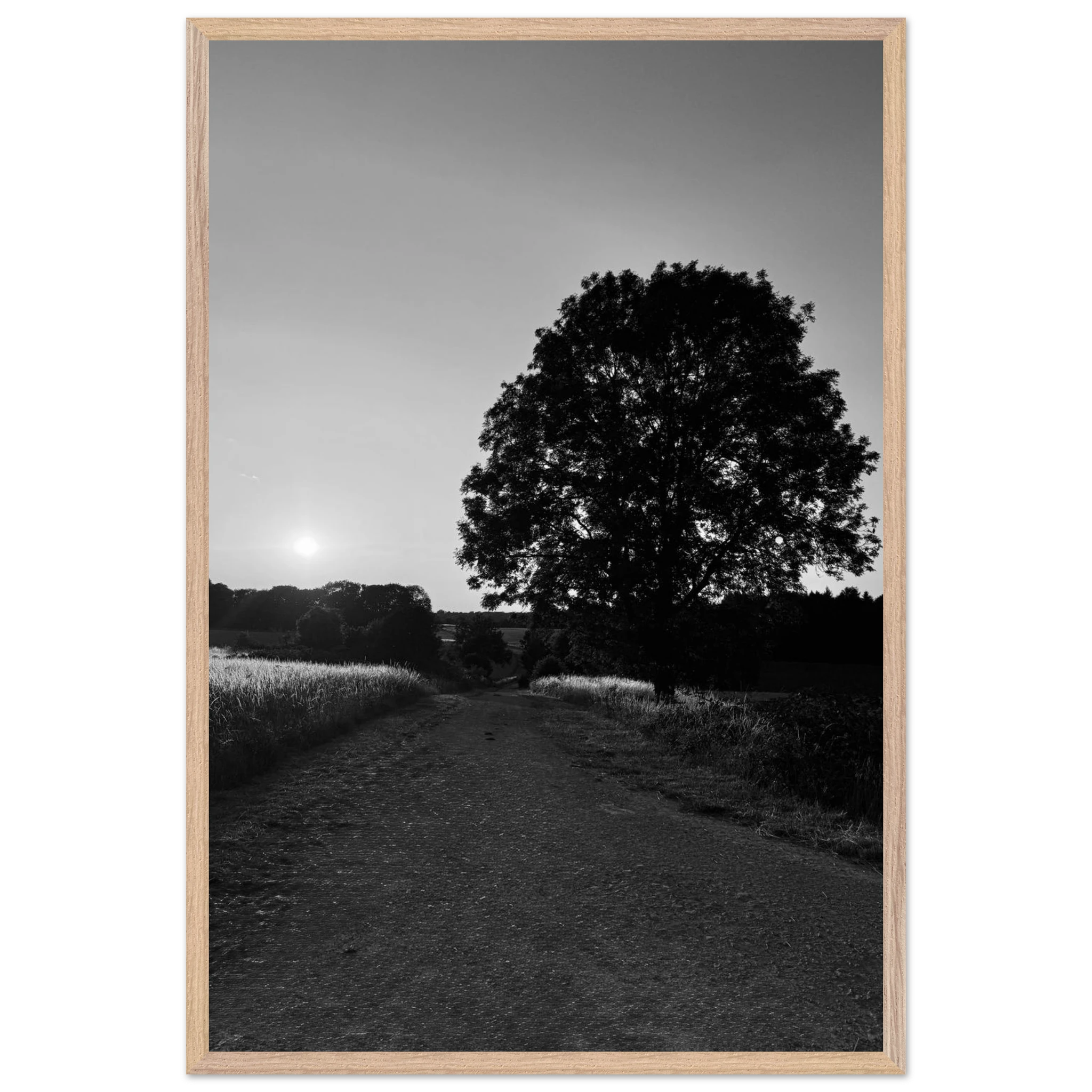 Mounted wooden framed poster of summer in the English Cotswolds, black and white travel print from the Studio Edition collection.