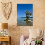 Majestic tree on a European lake aluminum print, nature-inspired wall art from the Travel Collection, Studio Edition.