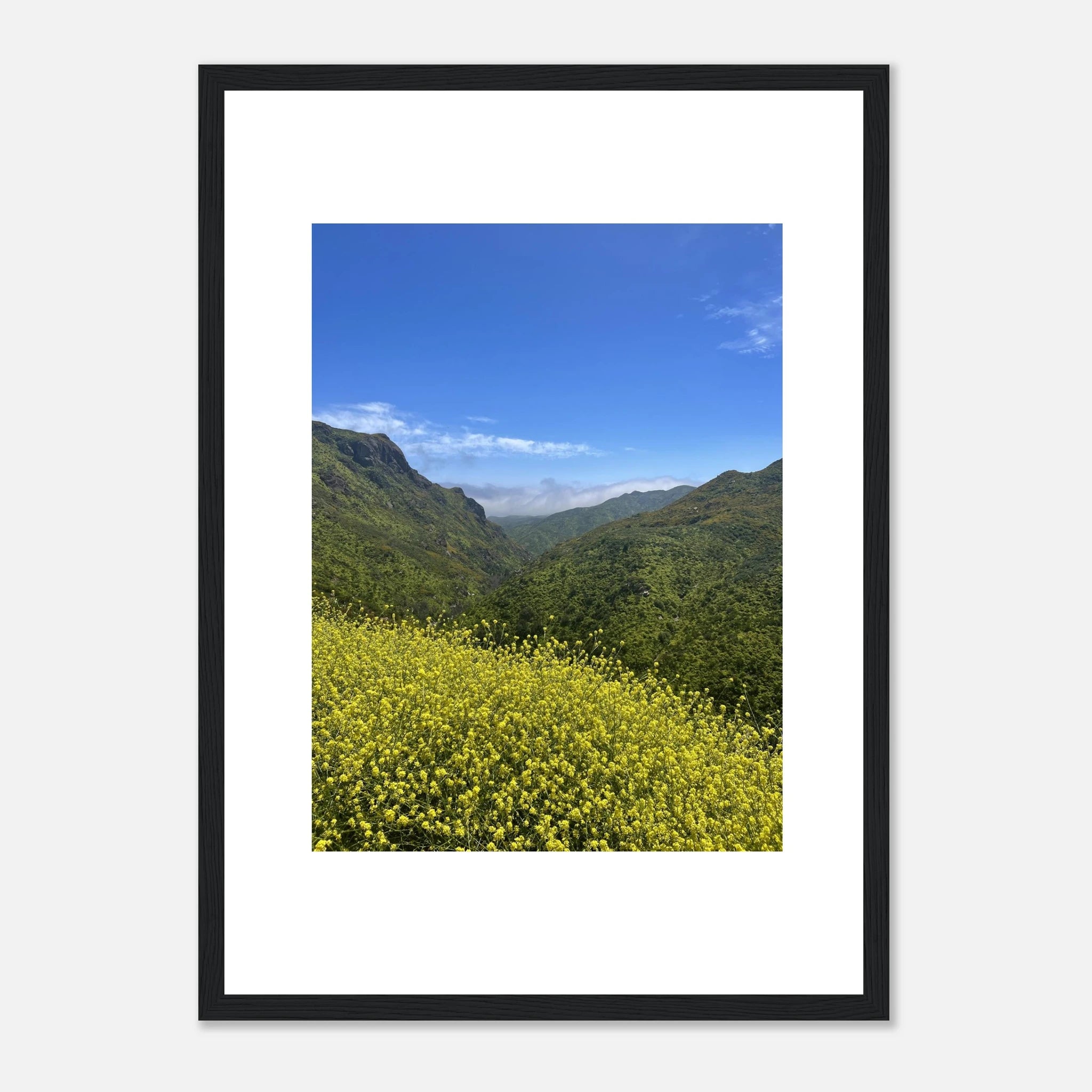 High-quality framed art print of Malibu Canyon in spring bloom wildflowers, California poster art by My Store.