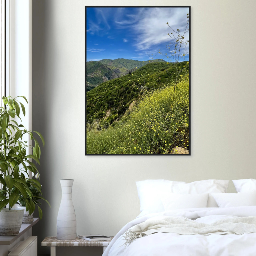 Malibu Canyon Wildflowers poster by My Store, wooden framed wall art on museum-quality matte paper featuring California wildflowers.